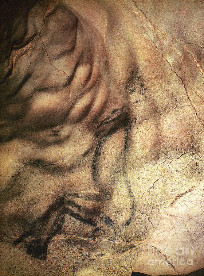 Cave Art: Sorcerer Photograph by Granger