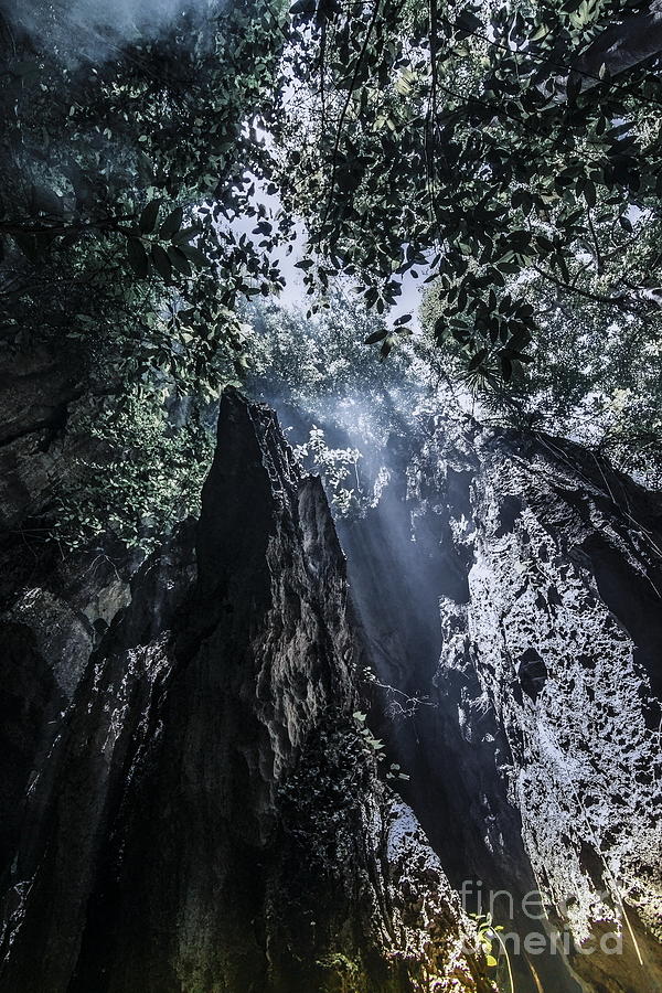 Cave At Forest Photograph by Arik S Mintorogo