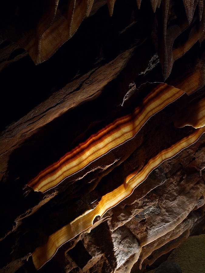 Cave Bacon Photograph by Shannon Workman
