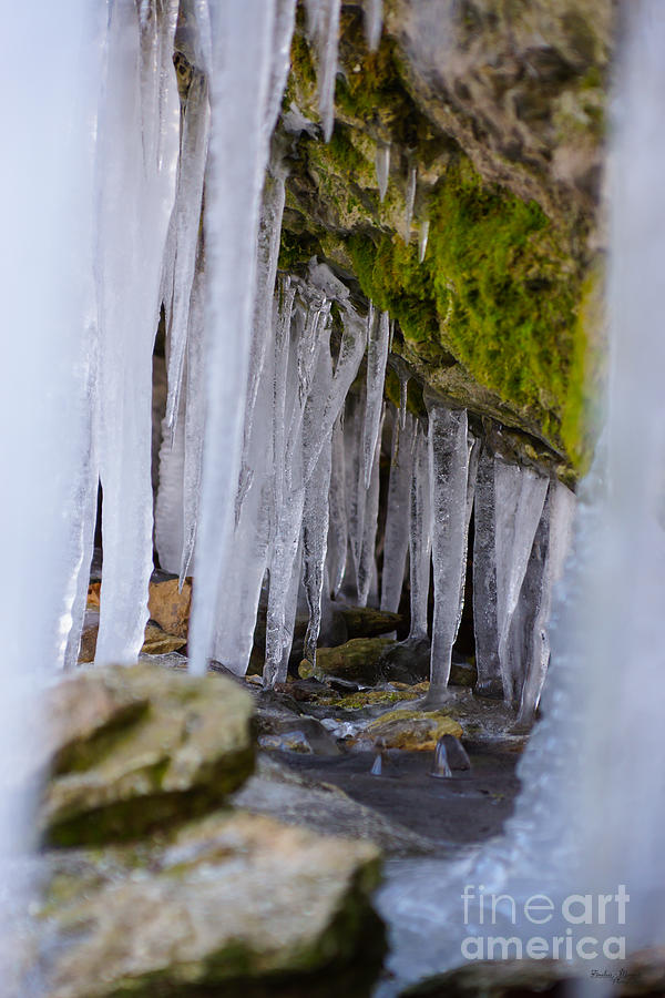 Cave Icicles Photograph by Jennifer White