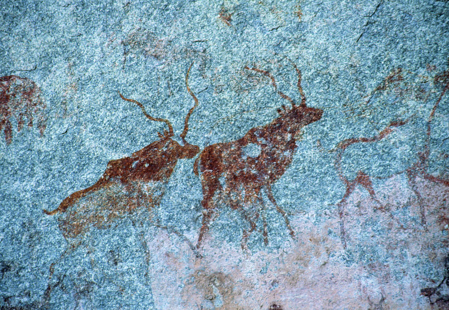 Cave Painting Of Kudu Photograph by Sheila Terry/science Photo Library