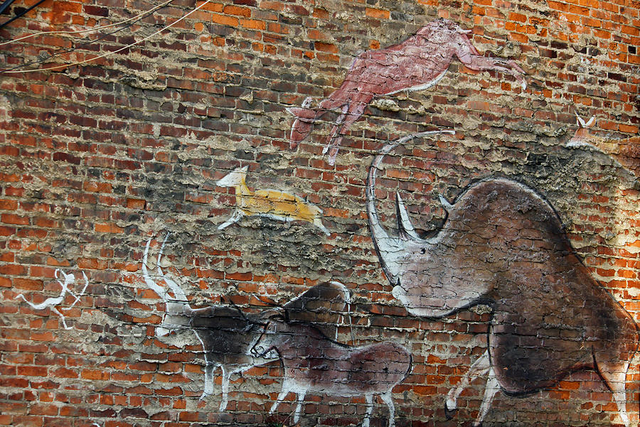 Cave Painting on Brick Photograph by Suzanne Gaff