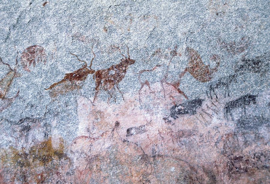 Zimbabwe Photograph - Cave Painting Showing Kudu (antelope) by Sheila Terry/science Photo Library