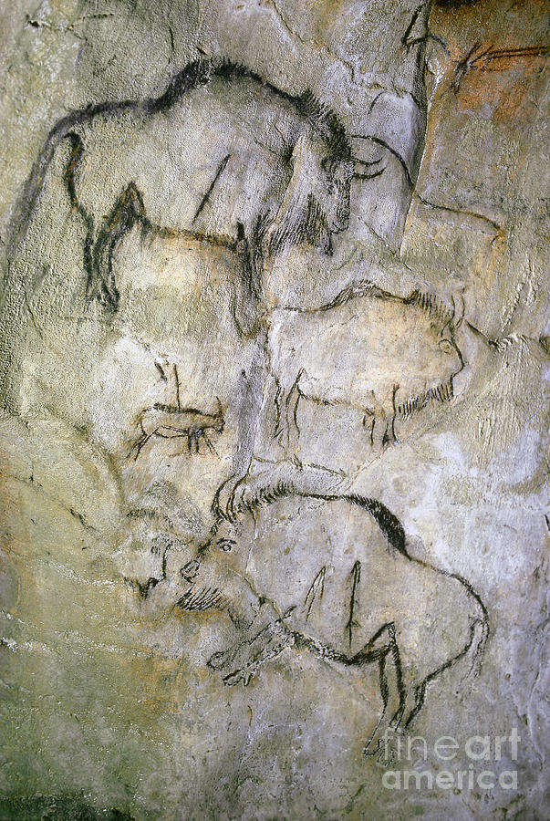 Cave Painting Photograph by Tom McHugh