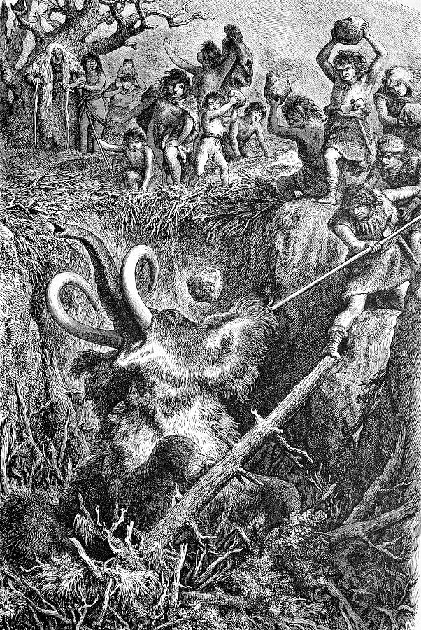 Cavemen Hunting Mammoth Photograph by Bildagentur-online/tschanz
