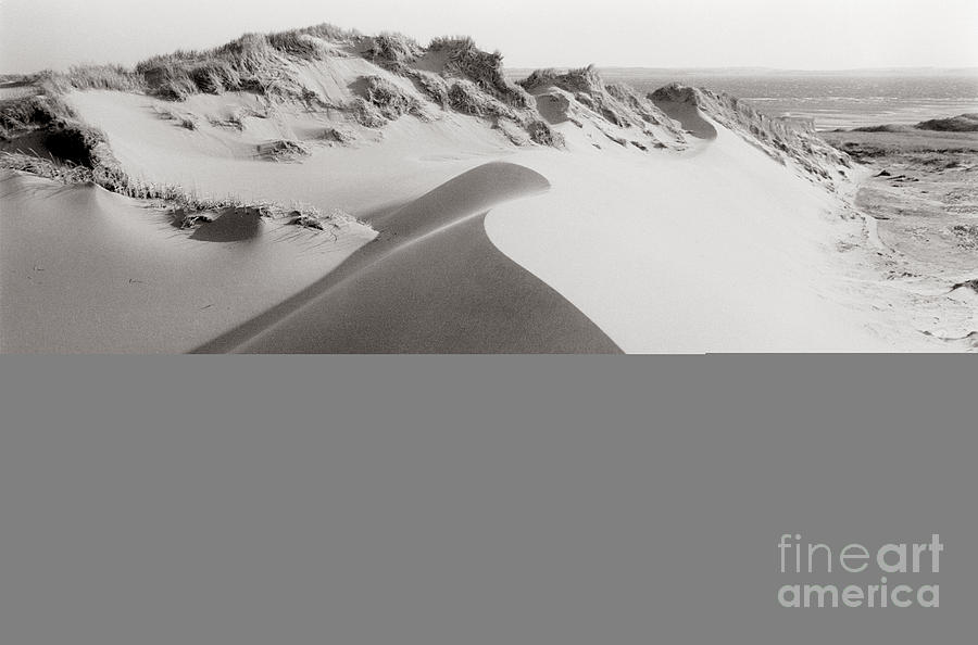 Black And White Photograph - Cavendish Dune by Lionel F Stevenson