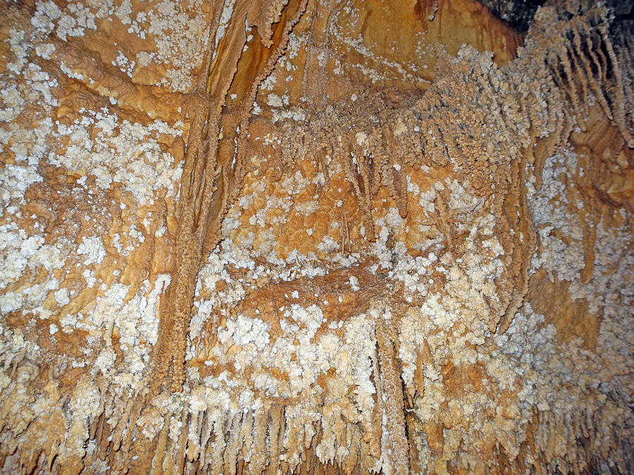 Cavern Fringe With Puffs Photograph by Lynda Lehmann