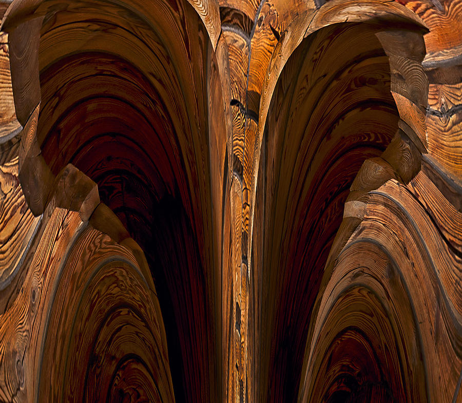 Caverns of wood Photograph by Murray Bloom