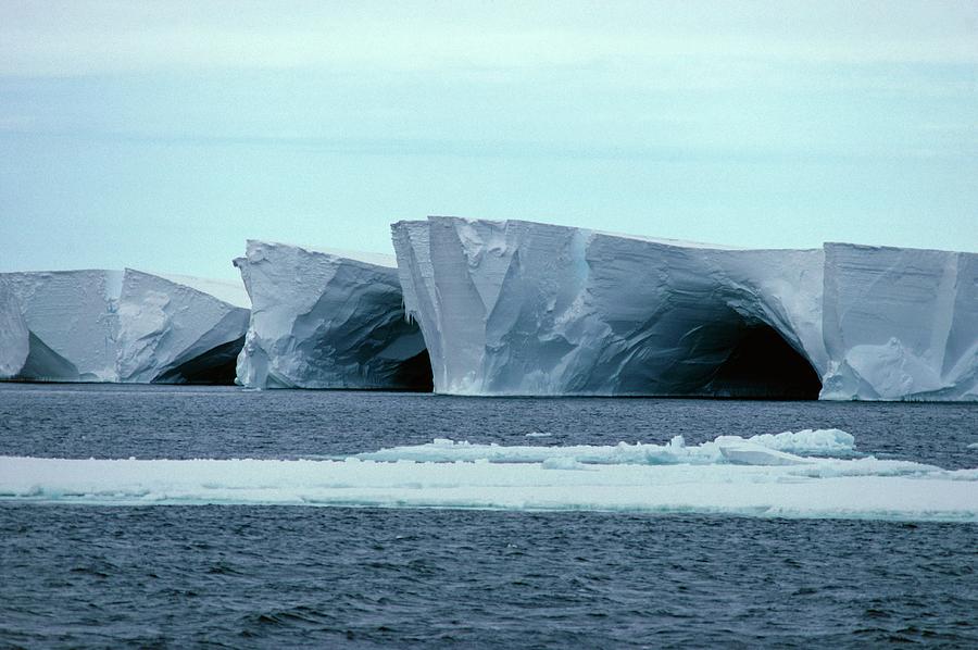 Caves In The Ross Ice Shelf Photograph by Doug Allan/science Photo Library.