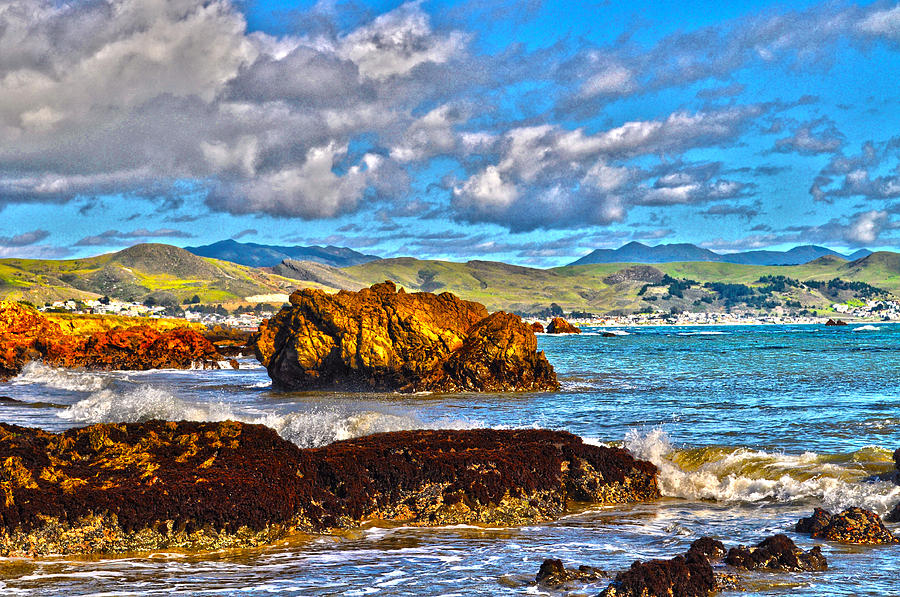 Cayucos Tidepools Photograph by Lisa HollandGillem