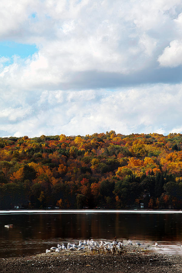 Tree Photograph - Cayuga Lake In Colorful fall Ithaca New York  by Paul Ge