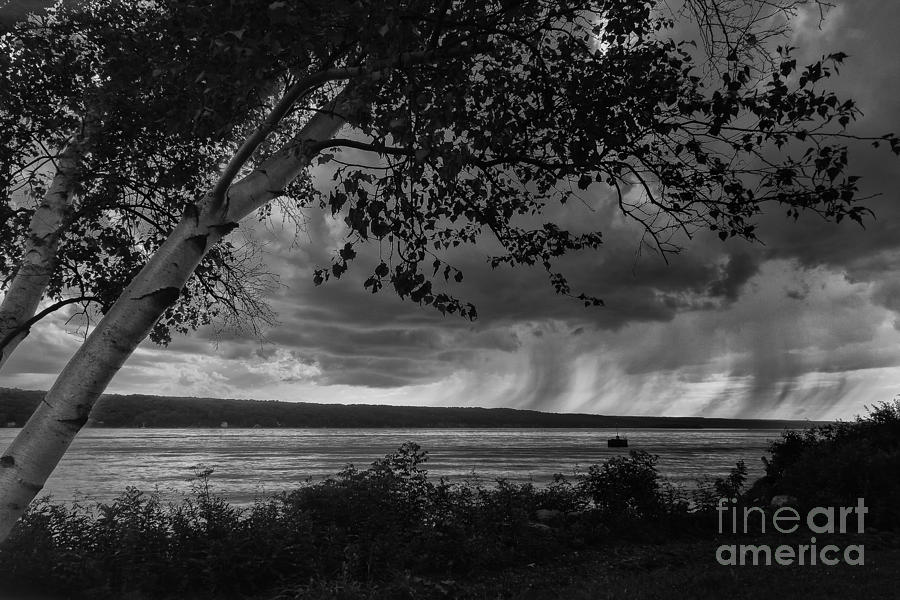 Cayuga Storm Photograph by Michele Steffey