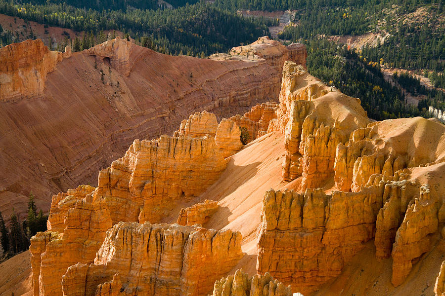 Cedar Breaks National Park Photograph by Marvin Walley