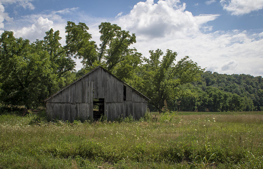 Summer Photograph - Cedar Creek Barn II by Wayne Meyer