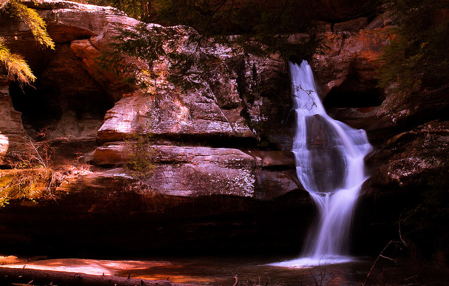 Cedar Falls Photograph by Haren Images- Kriss Haren