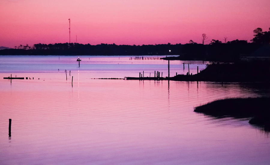 Cedar Island Photograph - Cedar Island Pinks by Paula OMalley