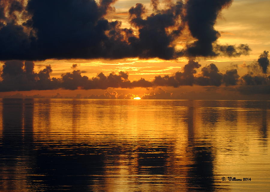 Cedar Island Sunrise Photograph by Dan Williams
