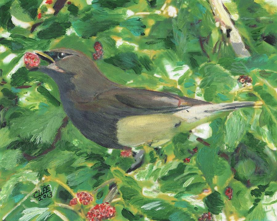 Cedar Waxwing Eating Mulberry Painting by Cliff Wilson