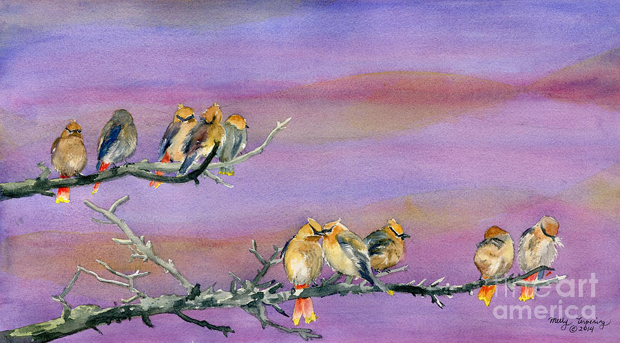 Bohemian Waxwings Birds Painting by Melly Terpening