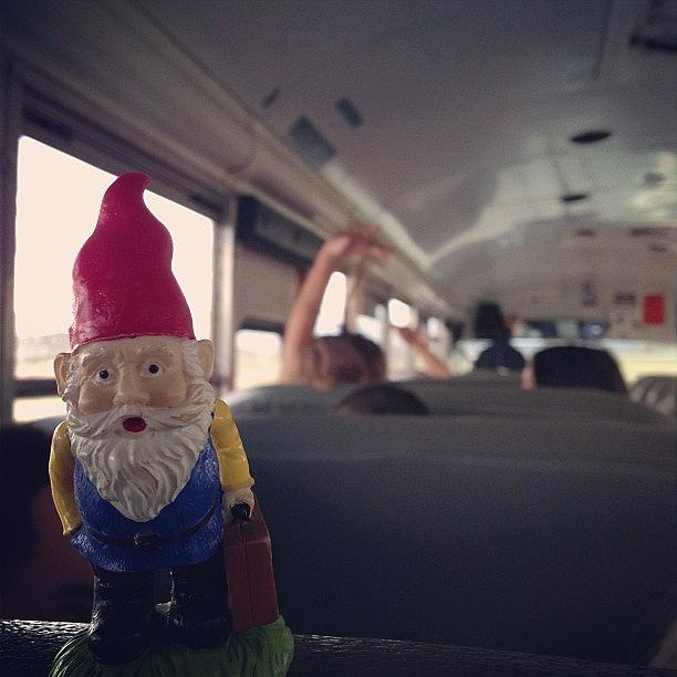Freeride Photograph - Cedric Is Enjoying The Bus Ride by David Conlee