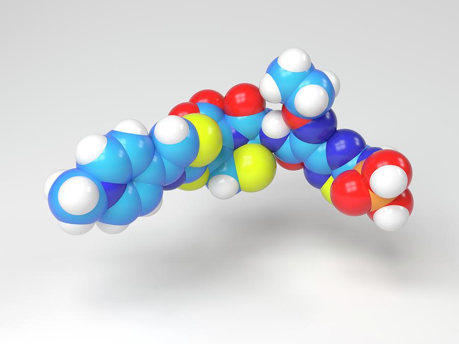 Ceftaroline Antibiotic Molecule Photograph by Indigo Molecular Images