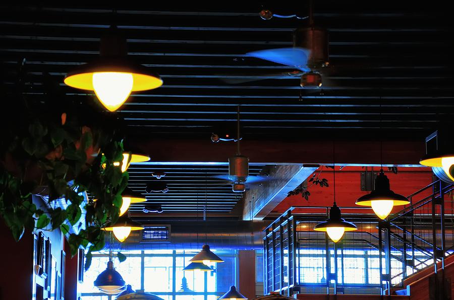 Ceiling Deschutes Brewery Public House 21679 Photograph by Jerry Sodorff