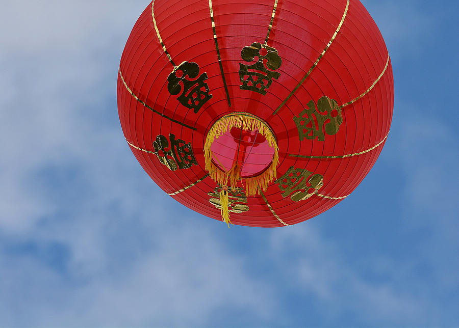 Chinese Lantern Photograph - Celebration In The Sky by Fraida Gutovich