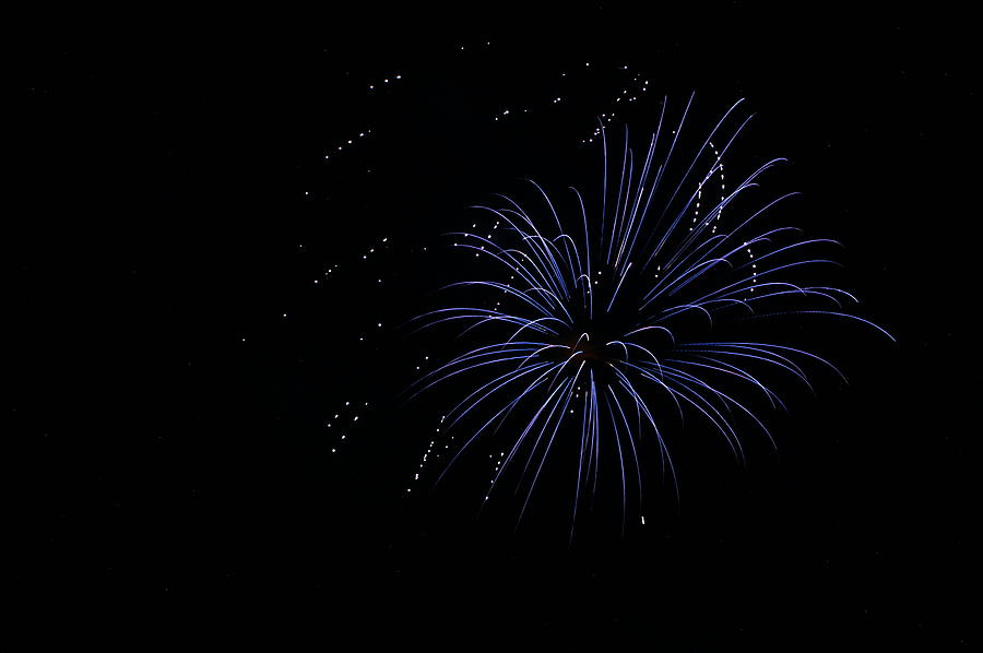 Fireworks Photograph - Celebration XXIII by Pablo Rosales