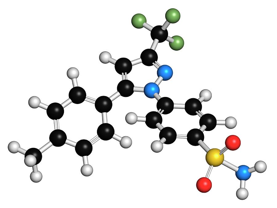 Celecoxib Anti-inflammatory Drug Molecule Photograph by Molekuul