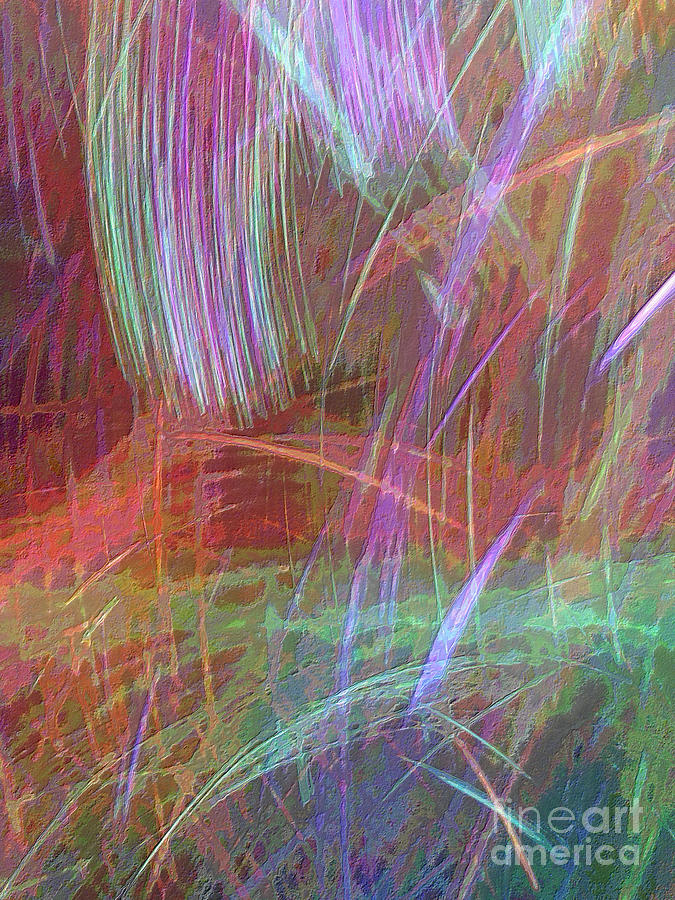 Celeritas 29 Mixed Media by Leigh Eldred Celeritas 29 Mixed Media by Leigh Eldred