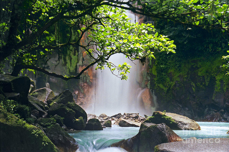 Nature Photograph - Celeste Falls Costa Rica by Oscar Gutierrez