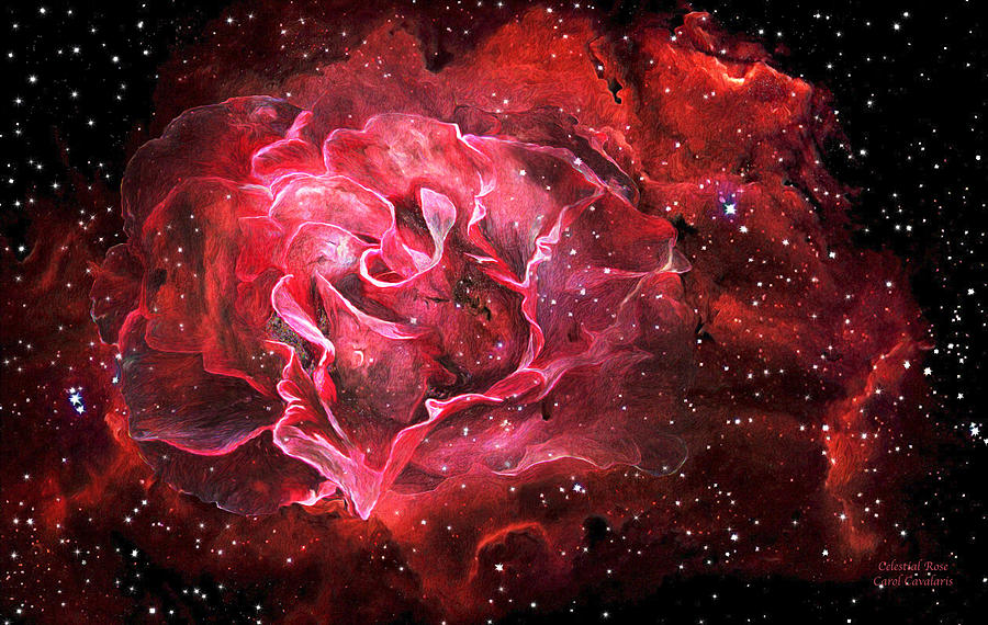 Celestial Rose Mixed Media by Carol Cavalaris