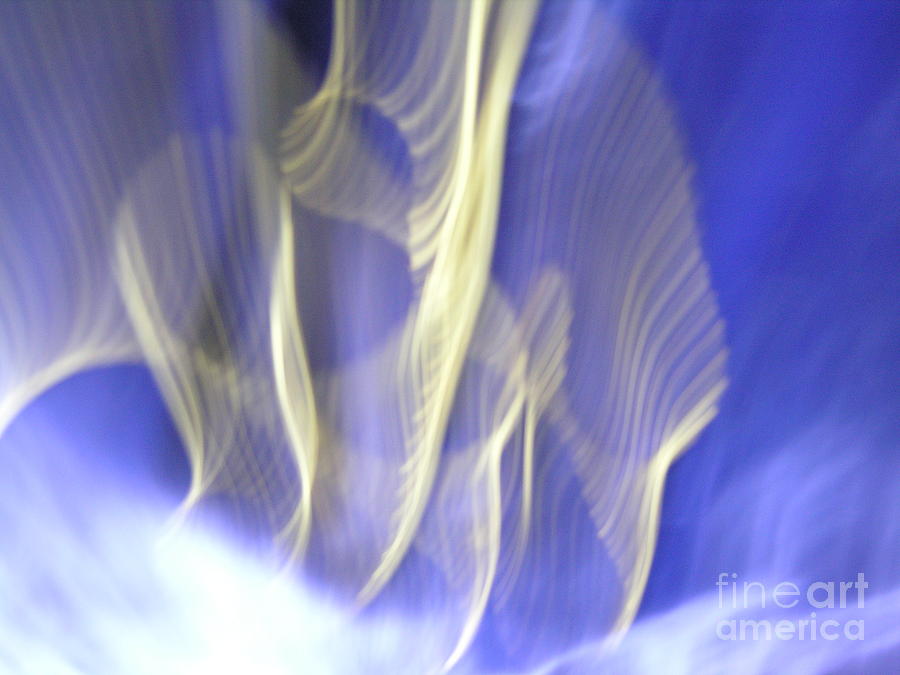 Abstract Photograph - Celestial Sylva by Marilyn Martin