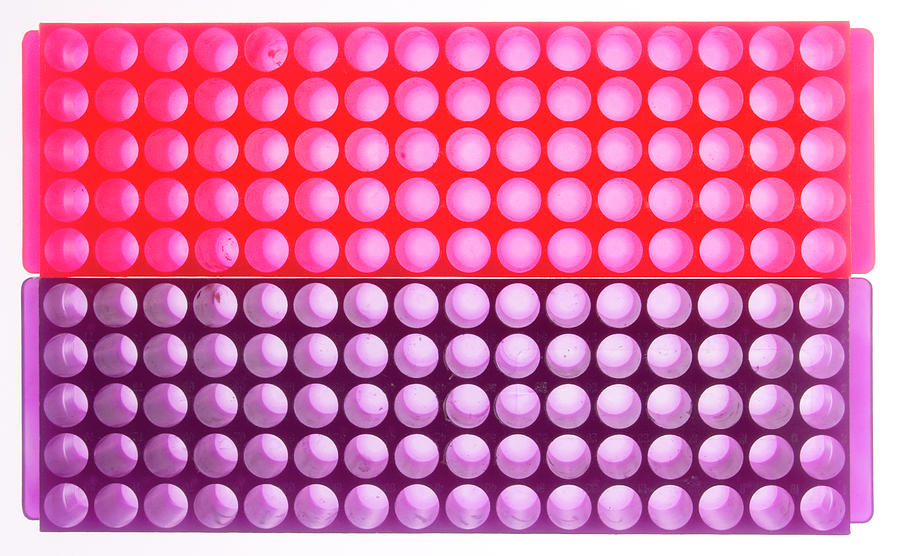 Cell Culture Plate Photograph by Science Photo Library Cell Culture Plate Photograph by Science Photo Library
