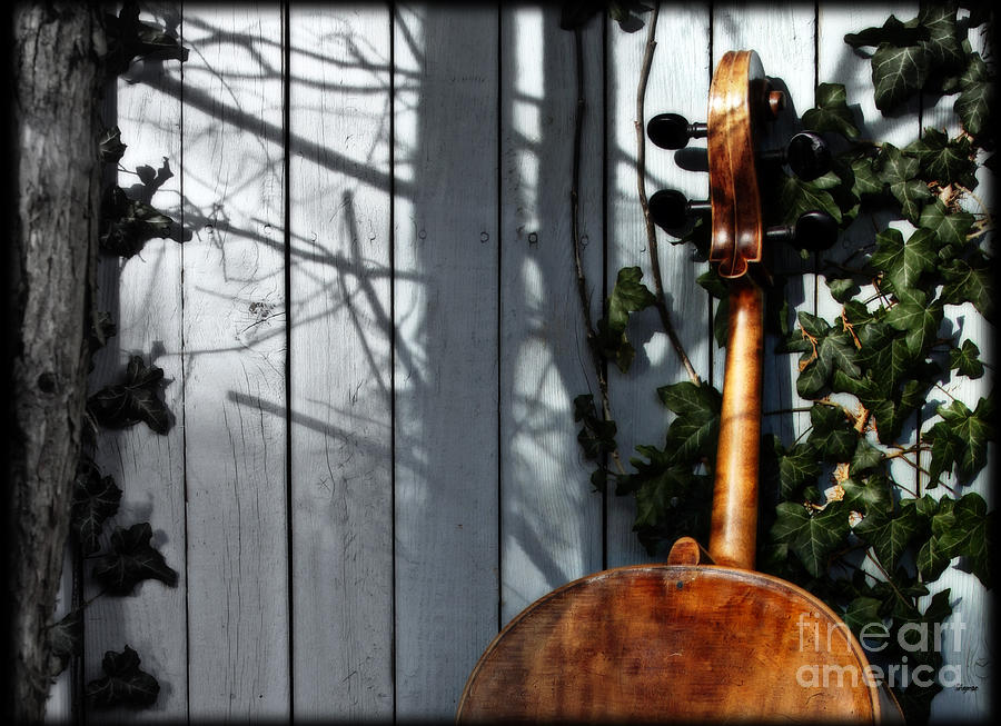 Cello And Ivy Photograph