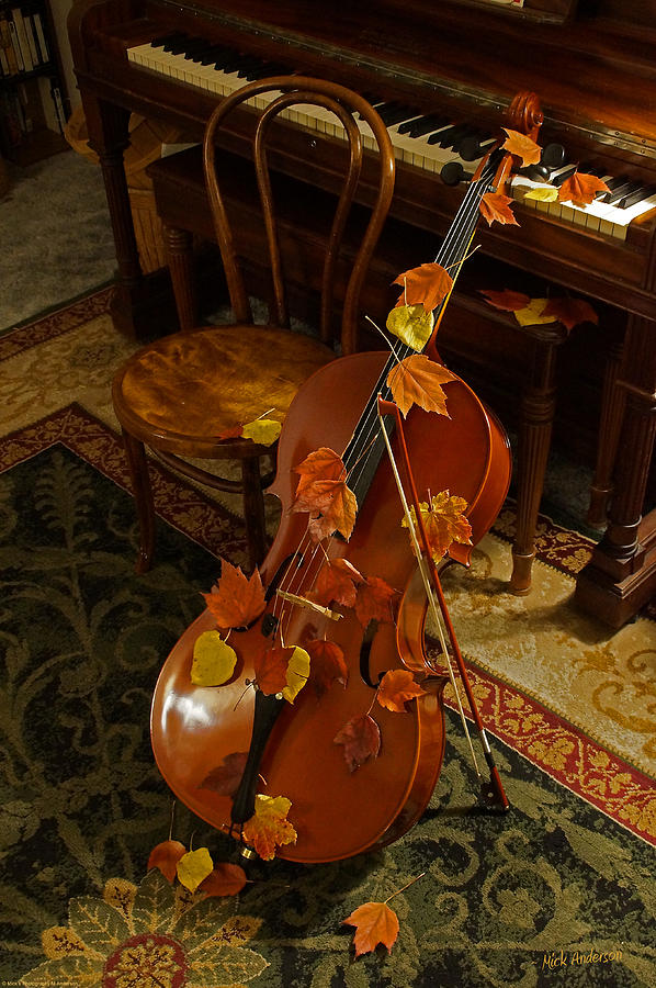 Cello Autumn 1 Photograph by Mick Anderson