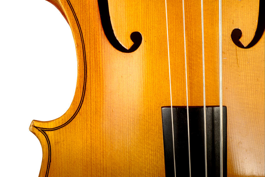 Cello Photograph by Chevy Fleet