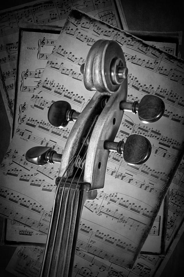 Cello Classic Art Photograph by Randall Nyhof