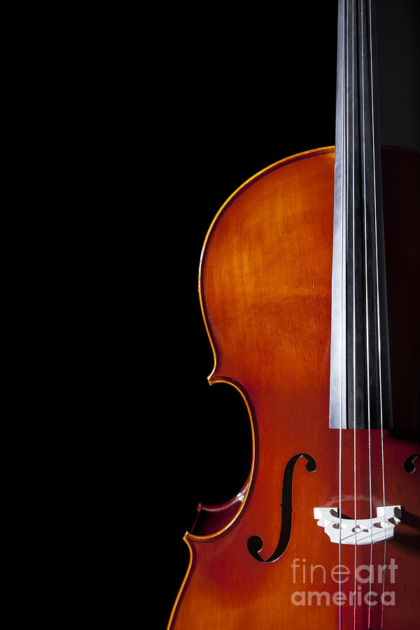 Cello Photograph by Diane Diederich