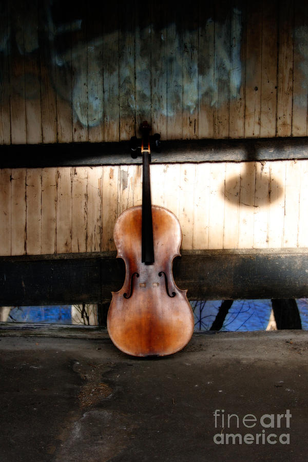 Cello Photograph - Cello Neck Blues by Steven Digman