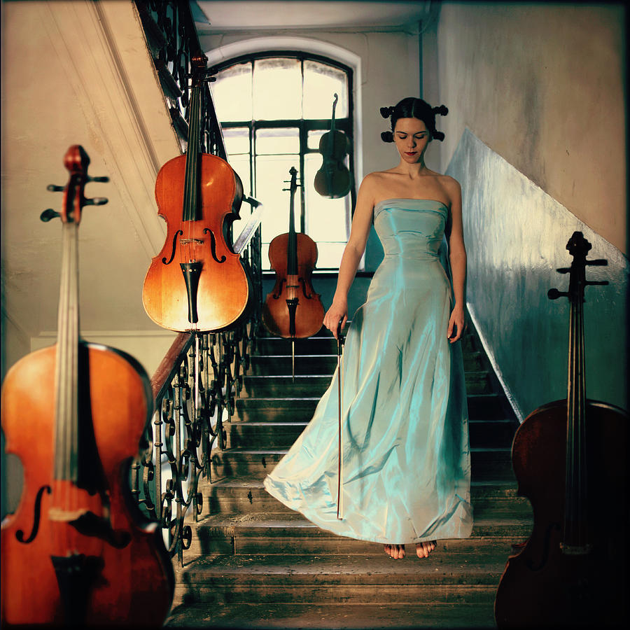 Vintage Photograph - Cellos by Anka Zhuravleva