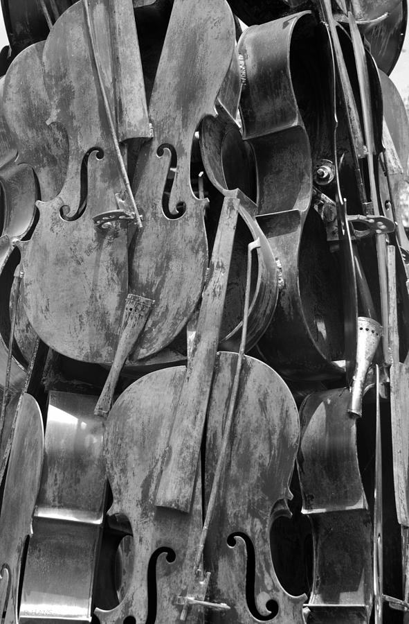 Cello Photograph - Cellos Black And White by Rob Hans
