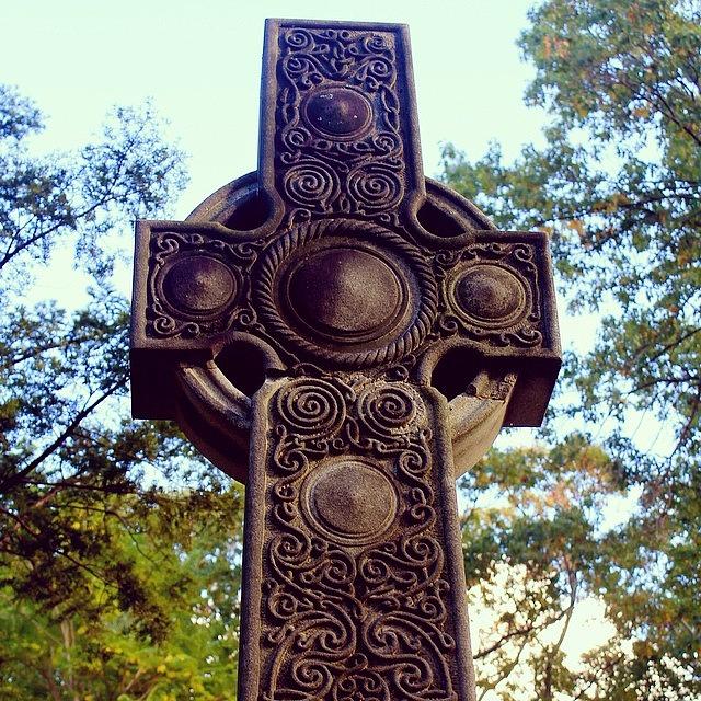 Tree Photograph - Celtic Cross by Justin Connor