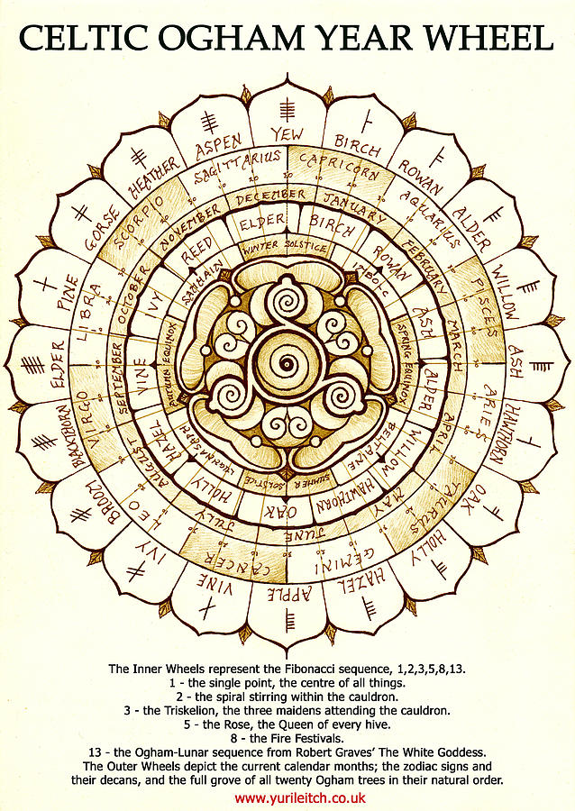Zodiac Drawing - Celtic Ogham Year Wheel by Yuri Leitch