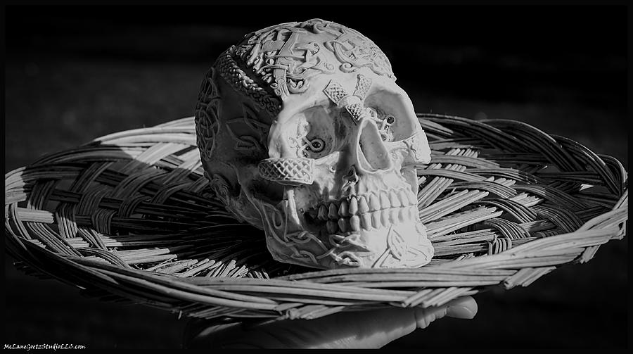 Celtic Skulls Symbolic Pathway to the other world Photograph by LeeAnn McLaneGoetz McLaneGoetzStudioLLCcom