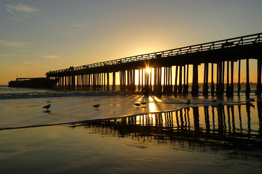 Cement Ship Pier Sunset Photograph by Amelia Racca