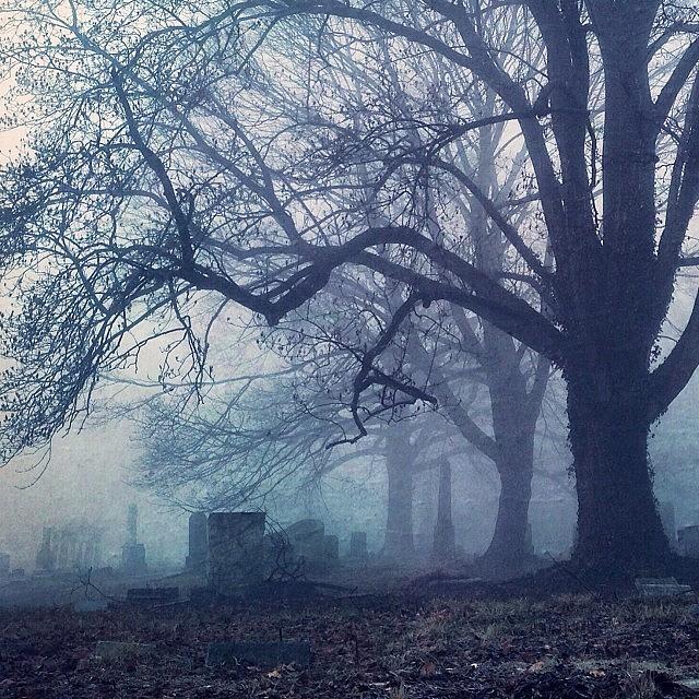 Newark Photograph - Cemetery 2 #newark #hipstamatic by Mary Ann Reilly