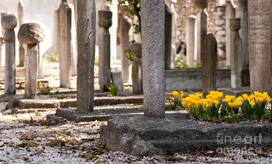 Cemetery Flowers Photograph by Rick Piper Photography