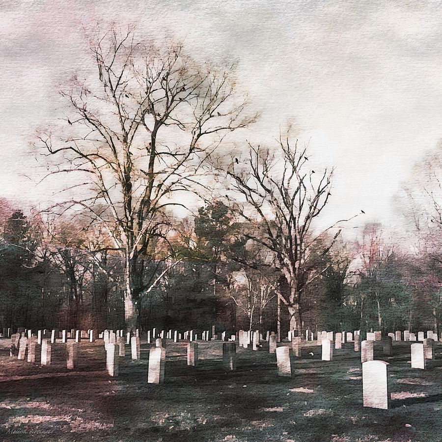 Cemetery Gravesite Headstones Photograph by Melissa Bittinger