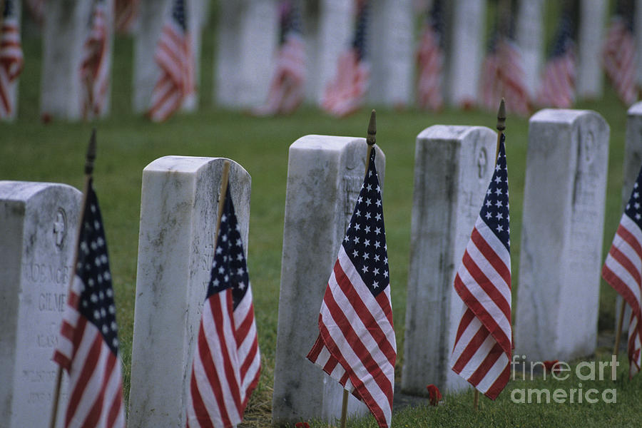 Cemetery honoring our soldiers American Flags Photograph by Jim Corwin